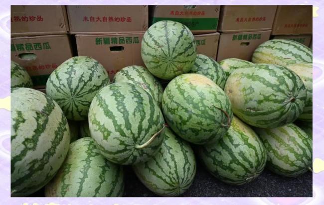 老板购5000斤西瓜送环卫工 爱心传递清凉