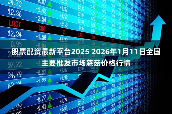 股票配资最新平台2025 2026年1月11日全国主要批发市场慈菇价格行情