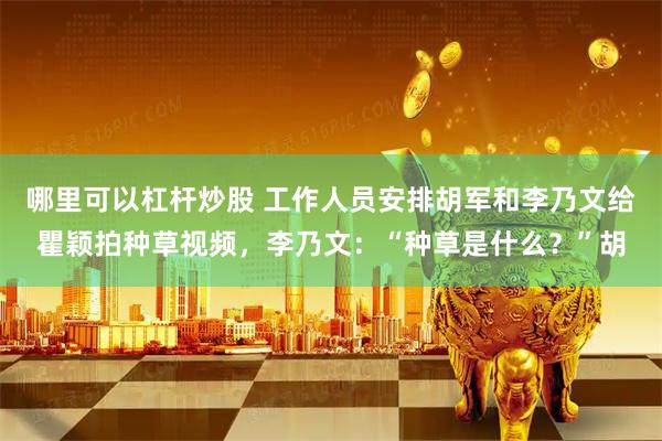 哪里可以杠杆炒股 工作人员安排胡军和李乃文给瞿颖拍种草视频，李乃文：“种草是什么？”胡