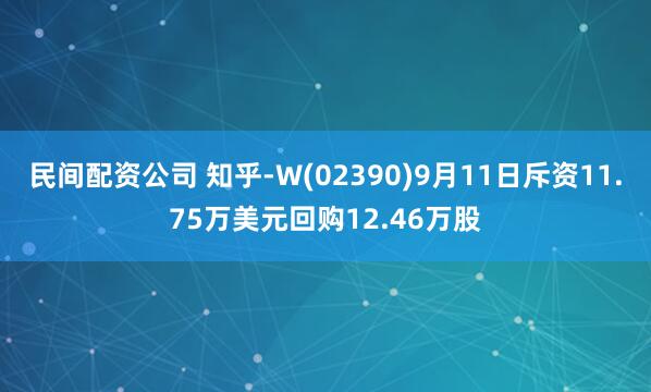 民间配资公司 知乎-W(02390)9月11日斥资11.75万美元回购12.46万股